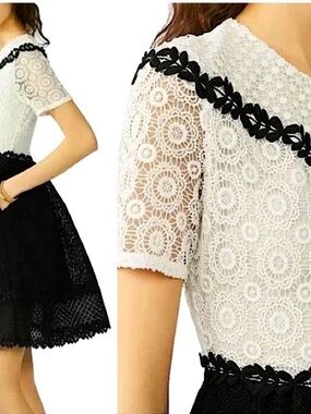 Maje Renald Lace Skater Dress Size 1 (US Small)